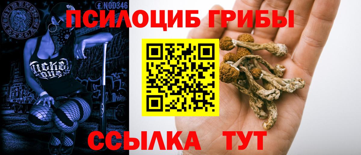 Псилоцибиновые грибы Cubensis  Псилоцибиновые грибы ЛСД  продажа наркотиков  Вход с VPN  Санкт-Петербург 