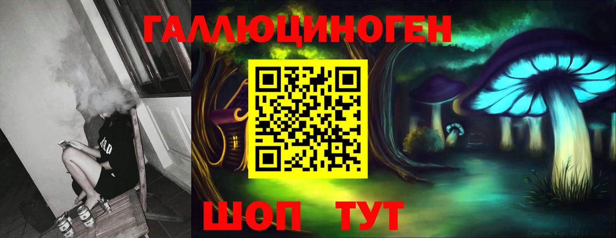 МЕФ Санкт-Петербург